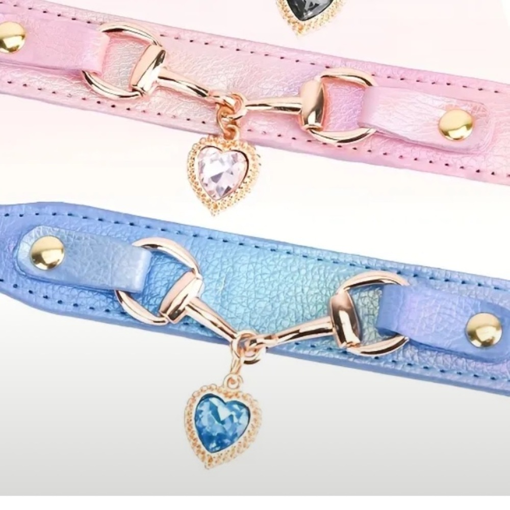 Blue Heart Charm Pet Collar